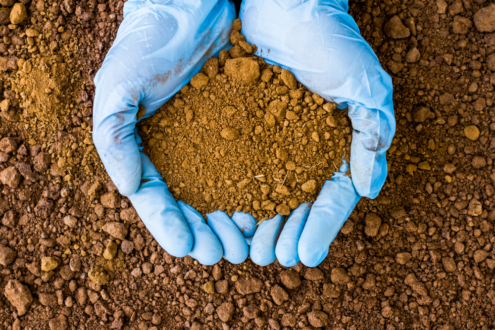 Contaminated soil testing with hands in blue rubber gloves holding soil