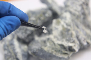 asbestos testing
